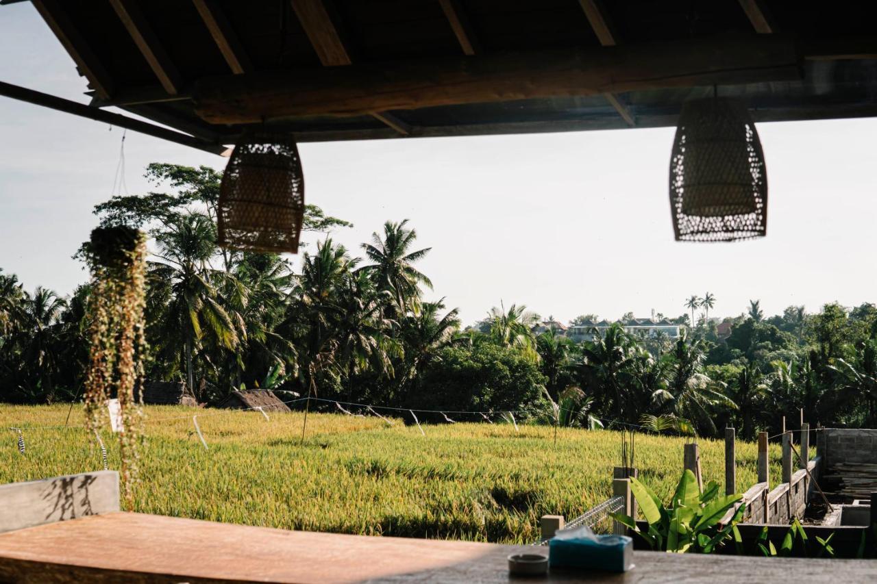 Raditya Villa Ubud Exteriér fotografie
