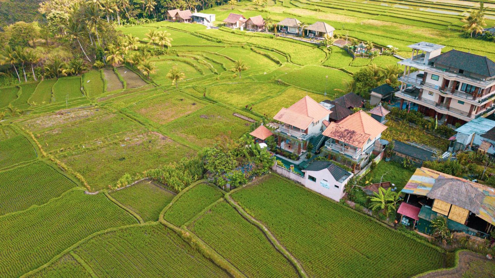 Raditya Villa Ubud Exteriér fotografie